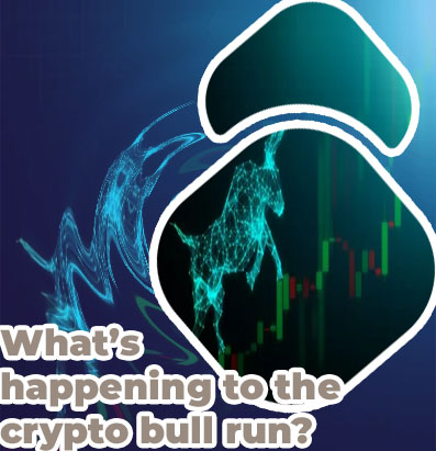 Crypto bull market