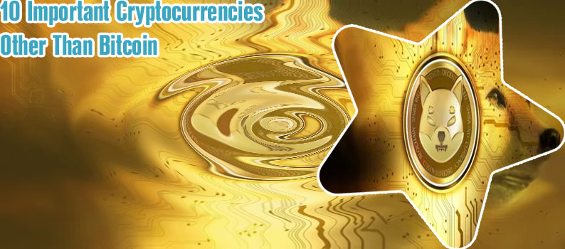 Inu passes no cryptocurrency