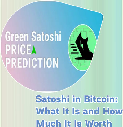 Satoshi crypto price