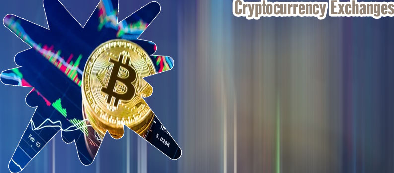 Should create crypto exchange buy bitcoin